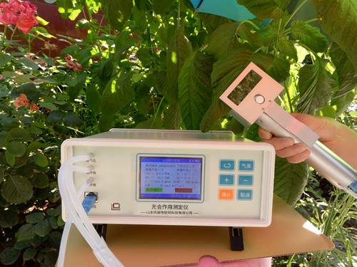 动物气孔针有何操纵？