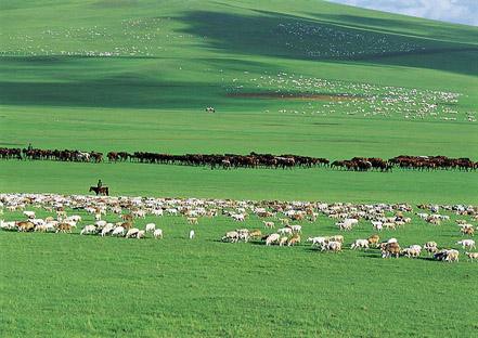 草原景象形象环境监测体系