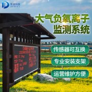 负氧离子大气监测体系