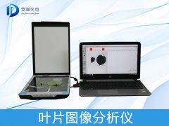 叶片图象是若何阐发的？